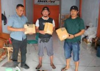 Dalam Sepekan Polres Dompu Amankan 6 Kilogram Paket Ganja