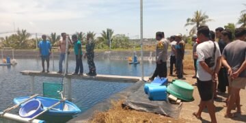 Karyawan Tambak Udang PT Prima Pringgabaya Ditemukan Tewas