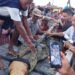 Nelayan Teluk Ekas Lombok Selatan Tangkap Buaya
