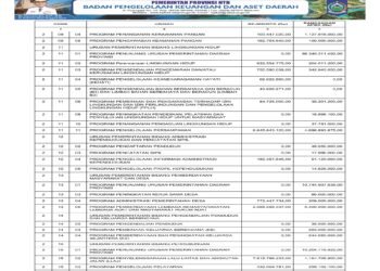 Informasi BPKAD Provinsi NTB (3)