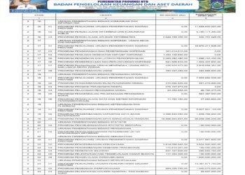 Informasi BPKAD Provinsi NTB (4)