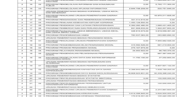 Informasi BPKAD Provinsi NTB (4)