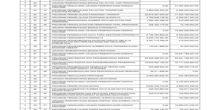 Informasi BPKAD Provinsi NTB (5)