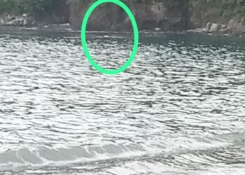 Mayat Membusuk Ditemukan Warga  Mengapung di Pantai Malimbu