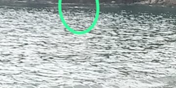 Mayat Membusuk Ditemukan Warga  Mengapung di Pantai Malimbu