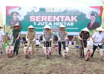 Kapolda NTB Kawal Program Pangan