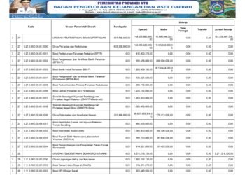 Laporan BPKAD Provinsi Nusa Tenggara Barat (10)