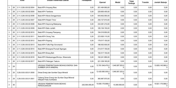 Laporan BPKAD Provinsi Nusa Tenggara Barat (11)
