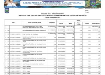 Laporan BPKAD Provinsi Nusa Tenggara Barat (3)