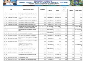 Laporan BPKAD Provinsi Nusa Tenggara Barat (6)