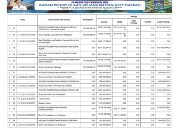 Laporan BPKAD Provinsi Nusa Tenggara Barat (8)