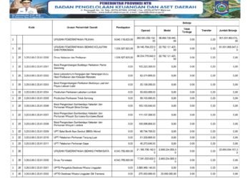 Laporan BPKAD Provinsi Nusa Tenggara Barat (9)