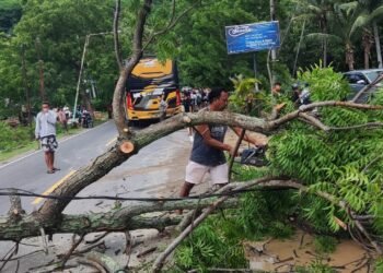 Pohon Tumbang, Atap Rumah Warga Berterbangan Diterpa Angin Kencang