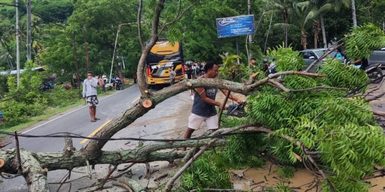 Pohon Tumbang, Atap Rumah Warga Berterbangan Diterpa Angin Kencang