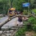 Pohon Tumbang, Atap Rumah Warga Berterbangan Diterpa Angin Kencang