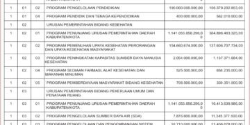 Laporan BPKAD Kabupaten Lombok Barat (12)