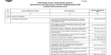 Laporan BPKAD Provinsi Nusa Tenggara Barat (19)