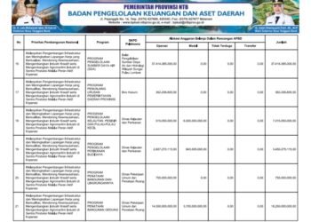 Laporan BPKAD Provinsi Nusa Tenggara Barat (35)