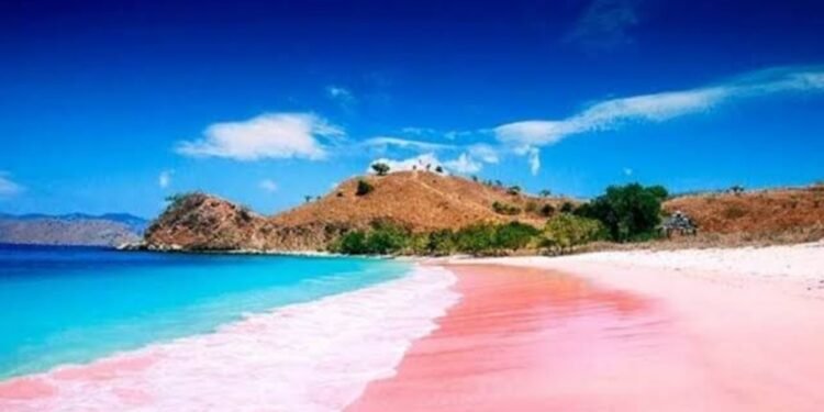 Amankan Kawasan Pariwisata Subdit Wisata Direktorat Polda NTB Patroli ke Pantai Surga dan Pink Lombok Timur