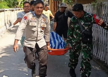 Wisatawan Australia Meninggal Saat Snorkeling di Perairan Gili Terawangan Lombok