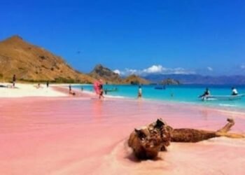 Pulau Lombok Terbaik Se Asia Raih Penghargaan Readers’ Choice Awards 2025
