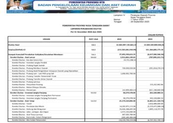 Laporan BPKAD Pemerintah Provinsi Nusa Tenggara Barat (6)