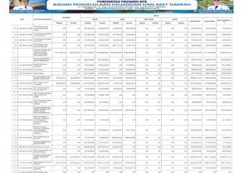 Laporan BPKAD Pemerintah Provinsi BTB (18)