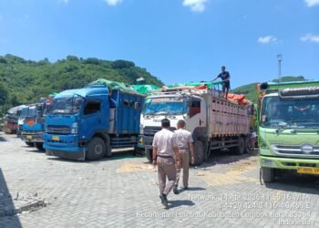 Pemprov NTB Lumbung Ternak Nasional, Tahun 2026 Kirim Sapi Ke Wilayah Jabotabek