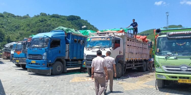 Pemprov NTB Lumbung Ternak Nasional, Tahun 2026 Kirim Sapi Ke Wilayah Jabotabek