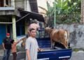 Ketua DPC Partai Gerindra Kota Mataram Salurkan an Tiga Ekor Sapi Kurban dan Lima Ekor  Kambing