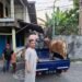 Ketua DPC Partai Gerindra Kota Mataram Salurkan an Tiga Ekor Sapi Kurban dan Lima Ekor  Kambing