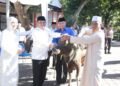 Polda NTB Sembelih Ratusan Hewan Kurban