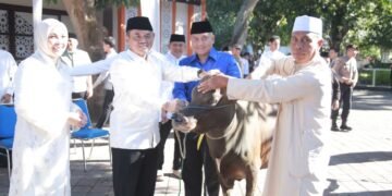 Polda NTB Sembelih Ratusan Hewan Kurban