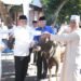 Polda NTB Sembelih Ratusan Hewan Kurban