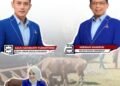 DPC Demokrat Salurkan Ratusan Paket Daging