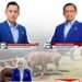 DPC Demokrat Salurkan Ratusan Paket Daging